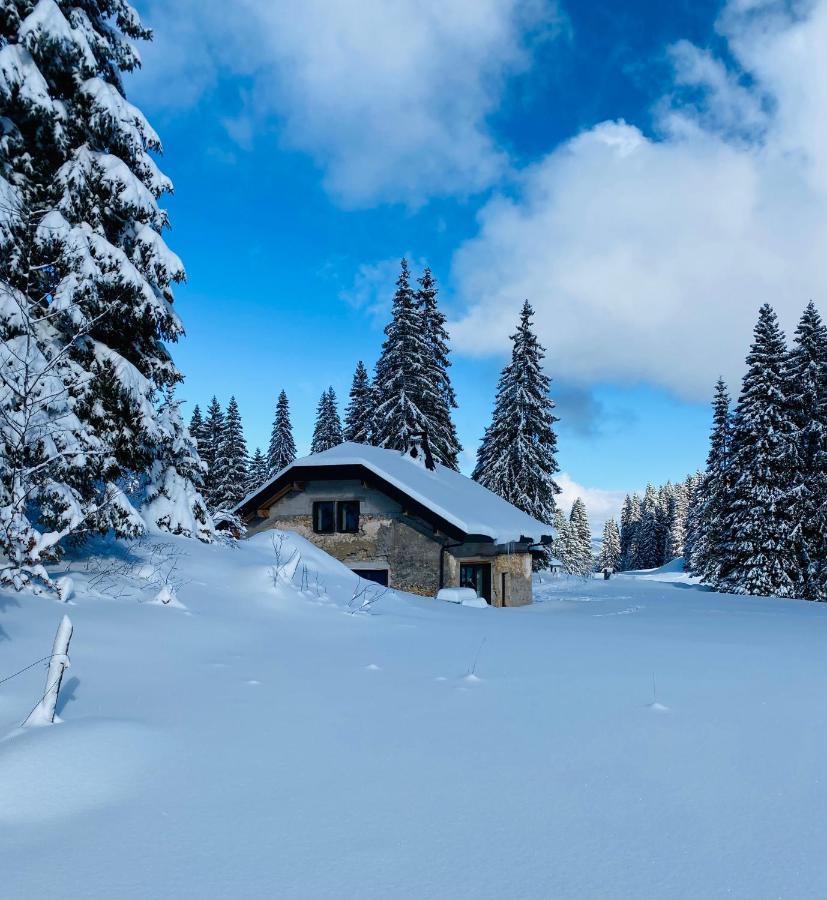 Готель La Loge De La Dolarde - Chambre Nord-Est Преманон Екстер'єр фото
